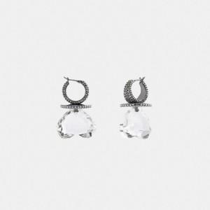 Earring Donna Coach Heart Gemstone Argento | ITBEV544