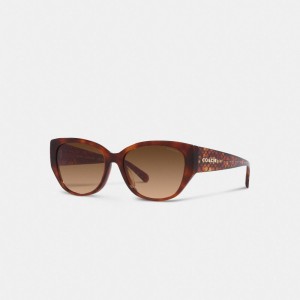 Occhiali da Sole Donna Coach Signature Rounded Cat Eye Marroni | ITMQF697