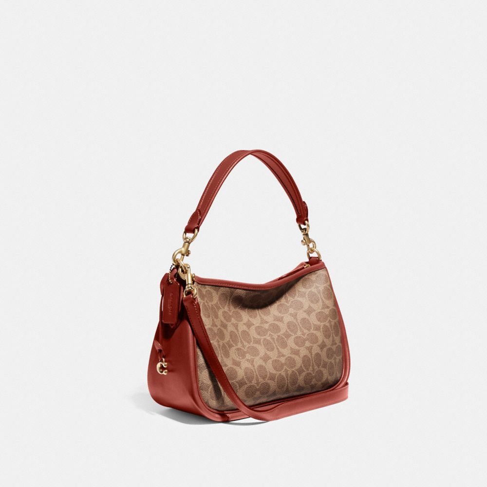 Borsa Crossbody Donna Coach Cary In Signature Canvas Marroni Rosse | ITILR768