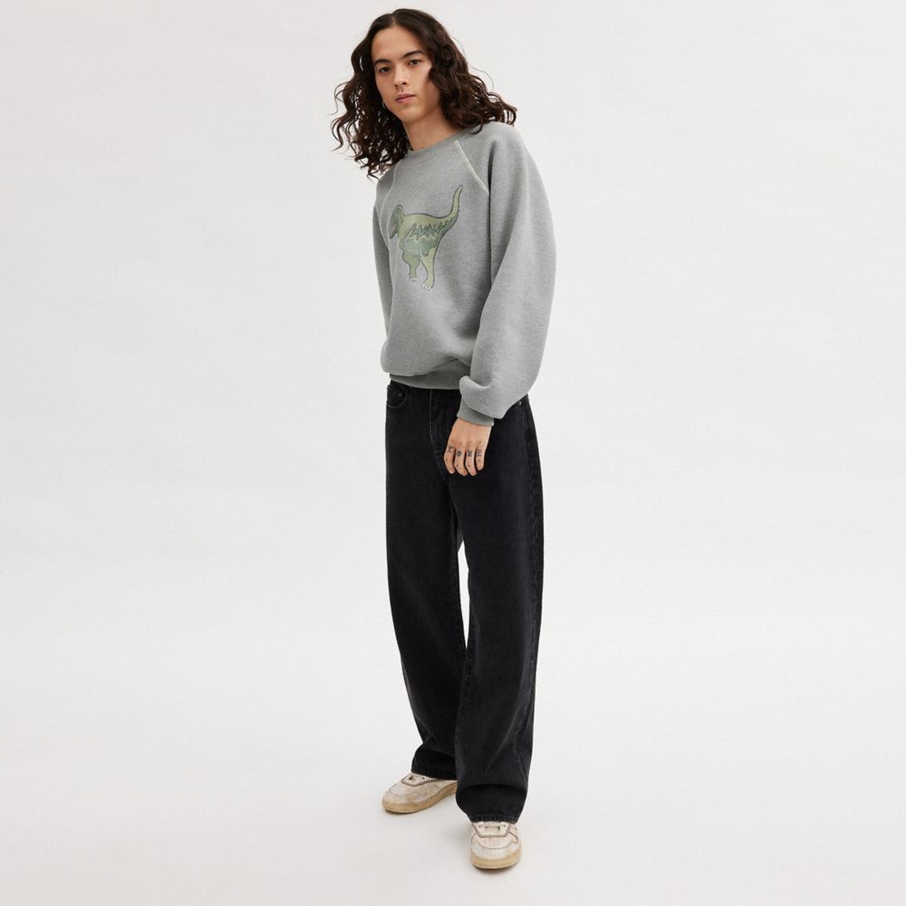 Felpa Donna Coach Rexy Crewneck Grigie | ITMQC489