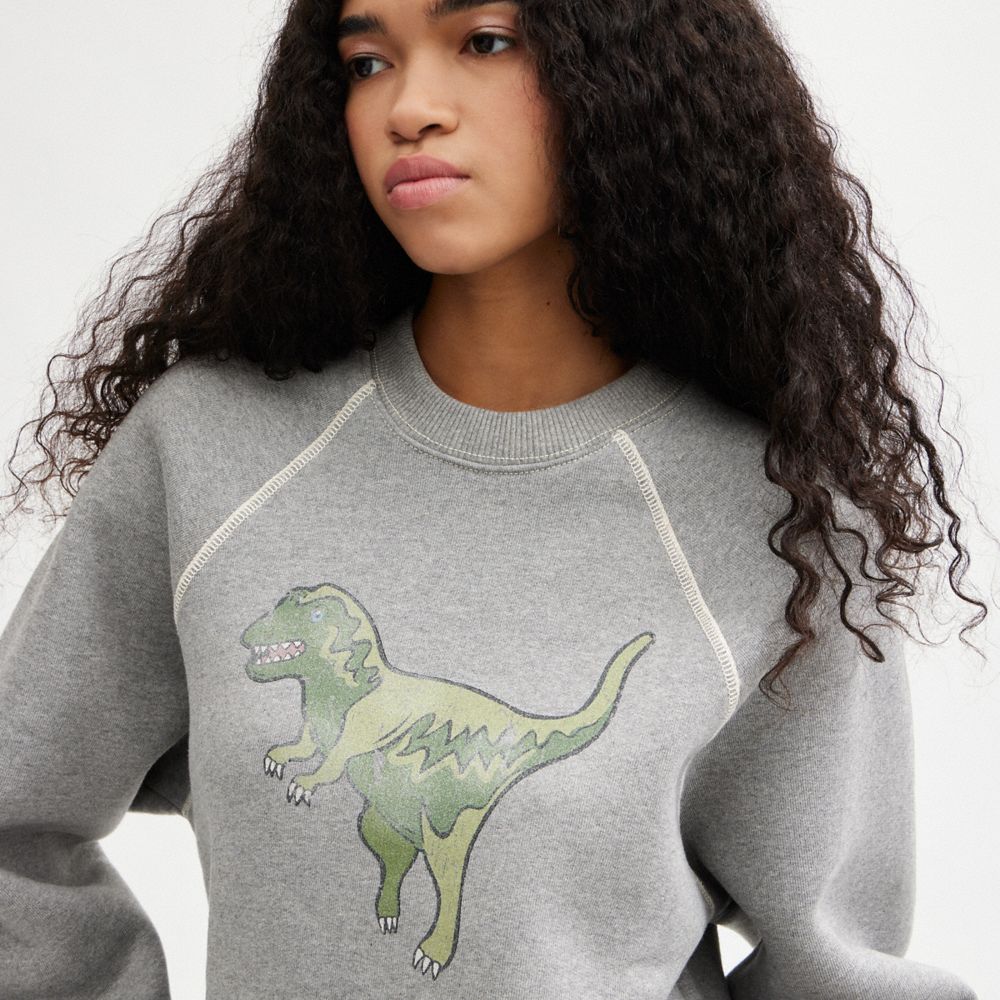 Felpa Donna Coach Rexy Crewneck Grigie | ITMQC489