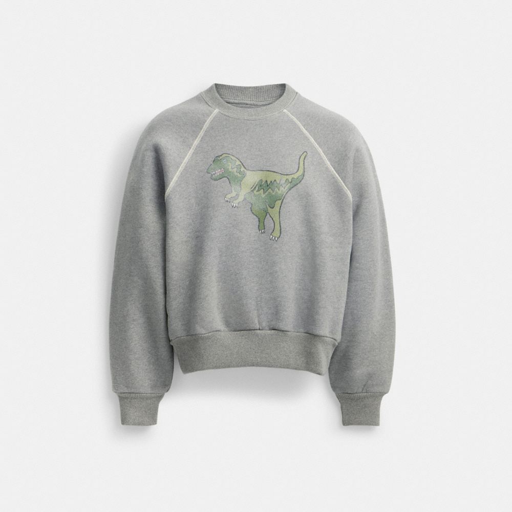 Felpa Donna Coach Rexy Crewneck Grigie | ITMQC489