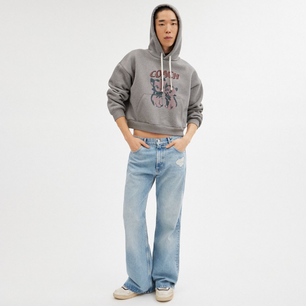 Felpa con Cappuccio Donna Coach The Lil Nas X Drop Cats Cropped Pullover Grigie | ITPJI421