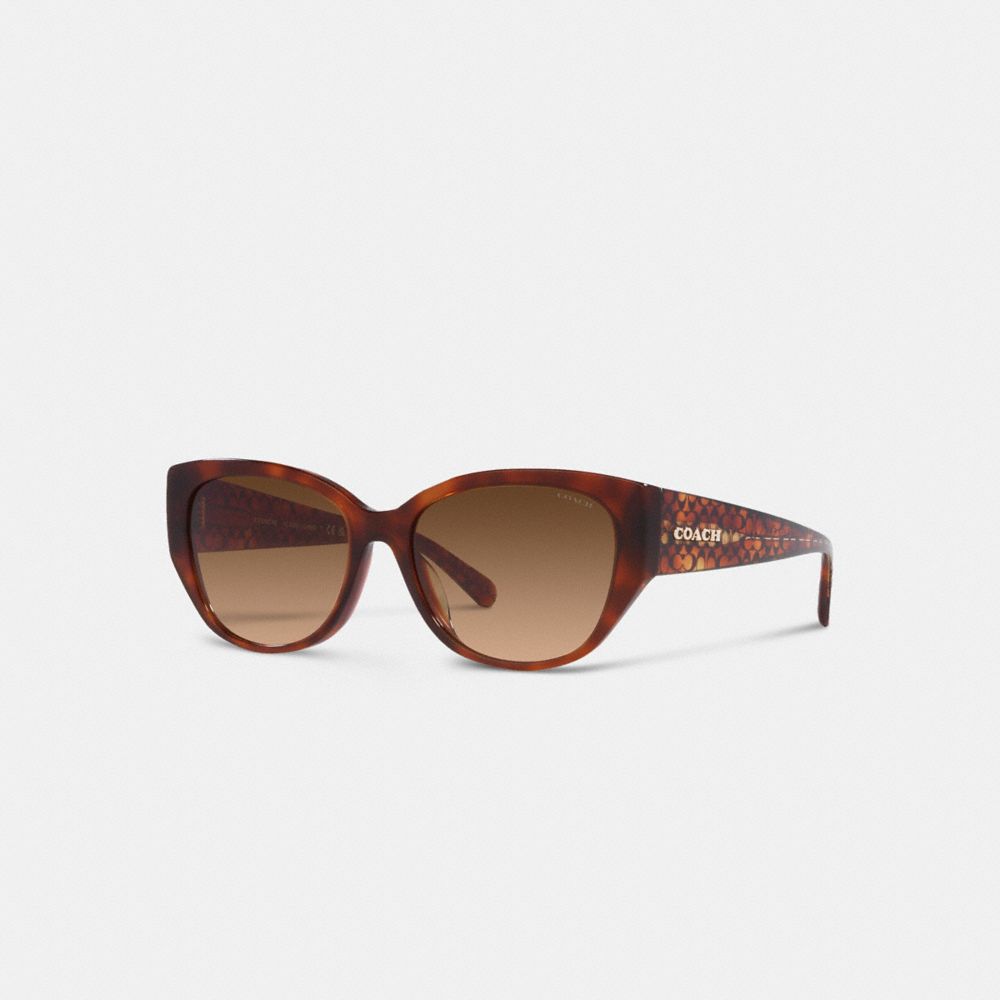 Occhiali da Sole Donna Coach Signature Rounded Cat Eye Marroni | ITMQF697